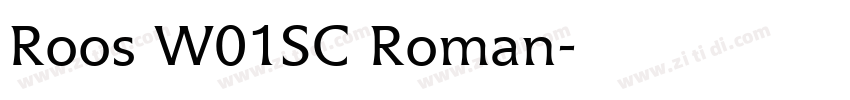 Roos W01SC Roman字体转换
